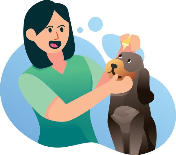 Woman caring for a dog